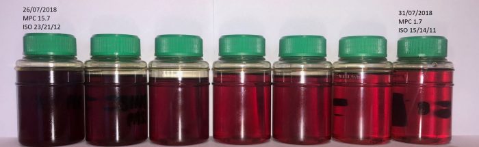 Oxidation Filtration Test edited